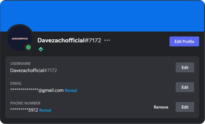 Discord Profile